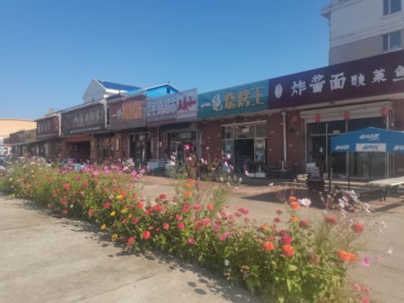 科普解读类百货商店：传统与现代的融合